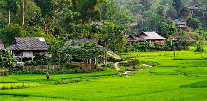 Đấu giá quyền sử dụng đất tại huyện Mai Sơn, tỉnh Sơn La