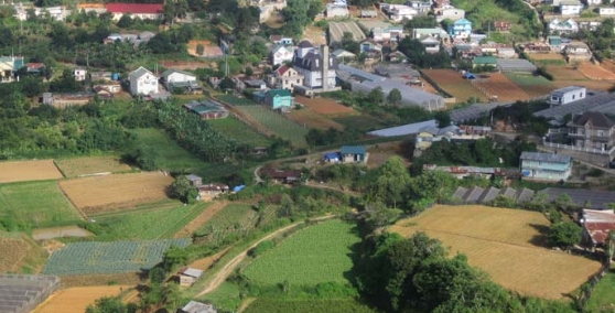Đấu giá quyền sử dụng đất tại huyện Lâm Hà, tỉnh Lâm Đồng