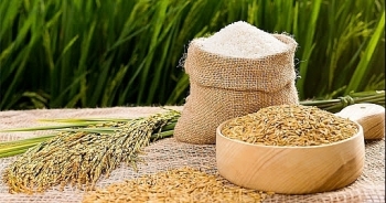 Giá gạo hôm nay 9/4: Giá gạo thế giới tăng cao