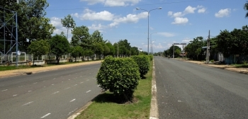 Đấu giá quyền sử dụng đất và 1,57 ha cây cao su thanh lý tại tỉnh Bình Phước