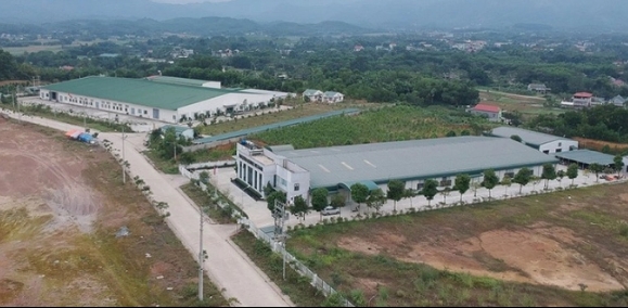 Đấu giá quyền sử dụng đất tại các huyện Lâm Thao và Yên Lập, tỉnh Phú Thọ