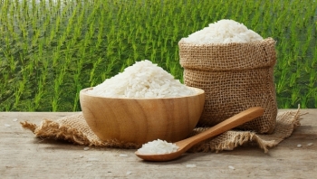 Giá gạo hôm nay 30/4: Tăng ở hai chủng loại TP và NL IR 504
