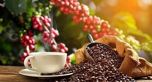 Giá cà phê hôm nay 2/4/2021: Cà phê rớt giá 'thê thảm'