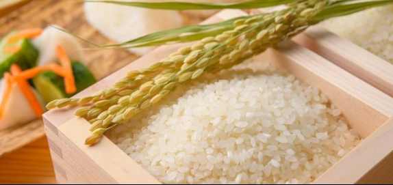 Giá gạo hôm nay 3/4/2021: Gạo Việt xuất khẩu giữ mức cao