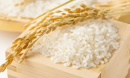 Giá gạo hôm nay 9/4/2021: Giảm mạnh ở một số chủng loại