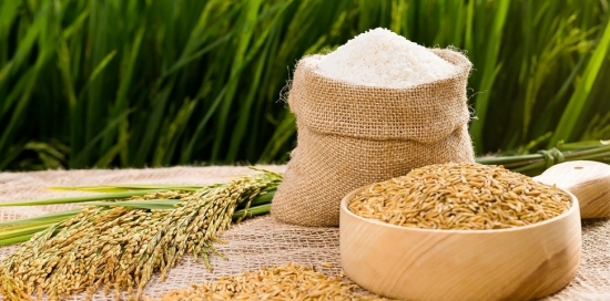 Giá gạo hôm nay 10/4/2021: Thị trường trong nước tiếp tục giảm