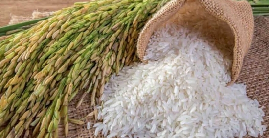 Giá gạo hôm nay 12/4/2021: Gạo Việt xuất khẩu tiếp tục giữ mức cao
