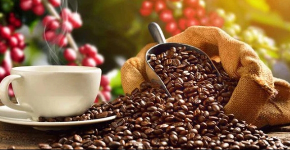Giá cà phê hôm nay 13/4/2022: Điều chỉnh giảm