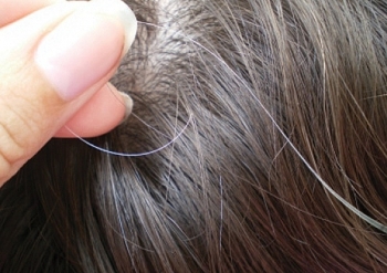 Nguyên nhân không ngờ dẫn đến việc tóc bạn bạc sớm hơn so với tuổi
