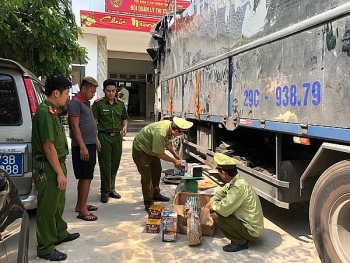 Quảng Bình: Thu giữ gần 20 kg pháo không giấy tờ hợp pháp
