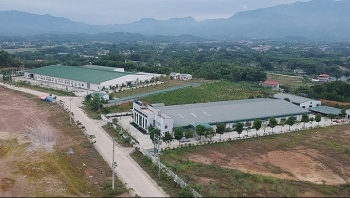 Lịch đấu giá quyền sử dụng đất tại TP. Việt Trì, tỉnh Phú Thọ