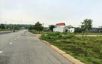 Đấu giá quyền sử dụng đất tại quận Đống Đa và huyện Quốc Oai, Hà Nội