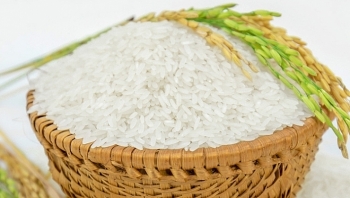 Giá gạo hôm nay 25/5: Giảm từ 50-200 đồng/kg