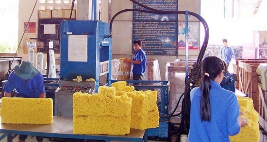 Xuất khẩu cao su Việt bật tăng mạnh mẽ sang thị trường thế giới