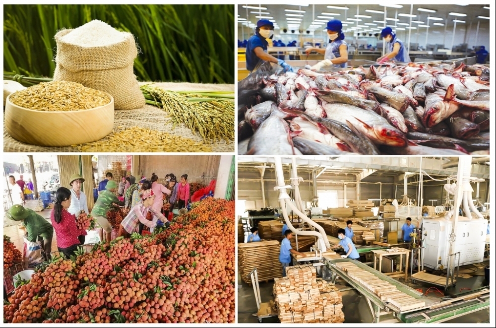 Xuất khẩu nông lâm thủy sản tăng gần 17% trong 5 tháng đầu năm 2022