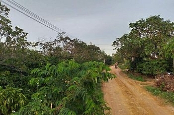 dau gia quyen su dung dat tai huyen eakar tinh dak lak