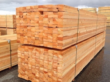 Đấu giá gỗ tận dụng tại tỉnh Kiên Giang