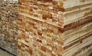 Đấu giá 10,174m3 gỗ xẻ tại tỉnh Kon Tum