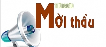 Điểm tin mời thầu ngày 29/6/2019