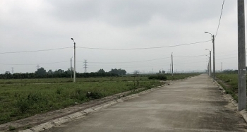 Đấu giá quyền sử dụng đất tại huyện Thường Tín, thành phố Hà Nội