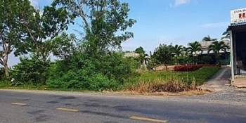 Đấu giá quyền sử dụng đất tại huyện Hòa Bình, tỉnh Bạc Liêu