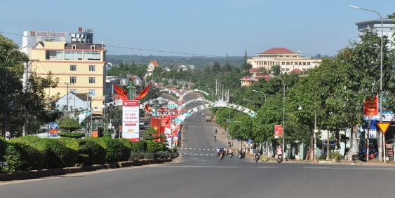 Đấu giá quyền sử dụng đất tại huyện Đắk Mil và Krông Nô, tỉnh Đắk Nông
