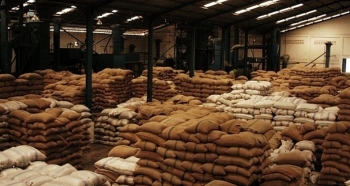 Xuất khẩu gạo và cà phê tương đối ổn định trong nửa đầu năm 2020