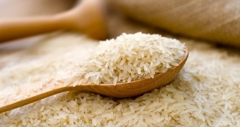 Dự báo xuất khẩu gạo của Ấn Độ giảm mạnh