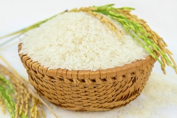 Dự báo giá gạo ngày 12/6: Gạo Việt duy trì ở mức cao