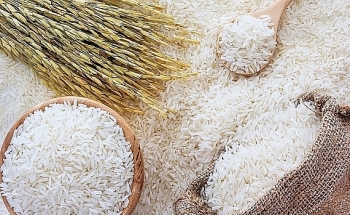 Cập nhật giá gạo hôm nay 12/6: Gạo xuất khẩu duy trì ở mức cao