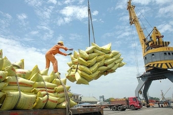 Sẽ xuất khẩu khoảng 2,3 - 2,5 triệu tấn gạo trong vụ Hè - Thu