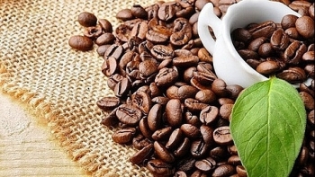Giá cà phê hôm nay 29/6: Xuất hiện mức 30.000 đồng/kg