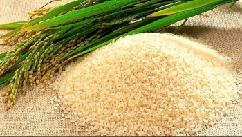 Giá gạo hôm nay 30/6: Trầm lắng
