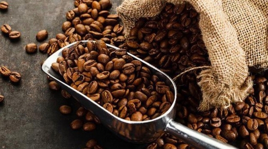 Giá cà phê hôm nay 3/6/2021: Xuất khẩu cà phê Việt giảm hơn 11%