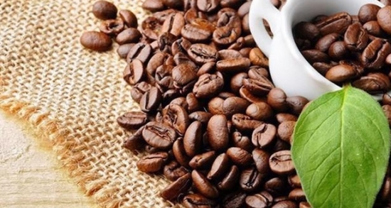 Tín hiệu tích cực từ xuất khẩu cà phê Việt
