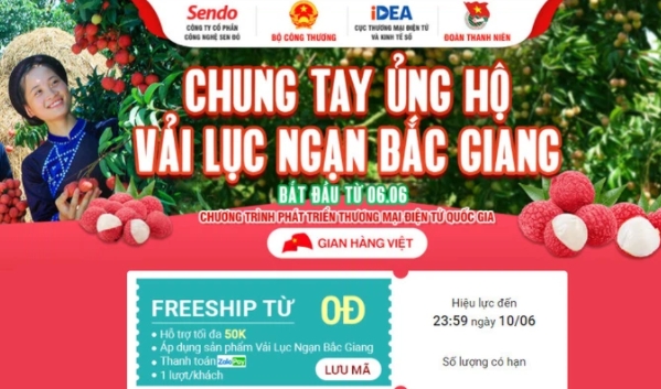 6 sàn thương mại điện tử "chung tay" mở lễ hội vải thiều Bắc Giang