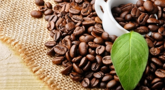 Giá cà phê hôm nay 13/6/2021: Giảm 400 - 600 đồng/kg trong tuần qua