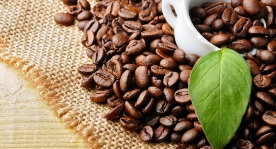 Giá cà phê hôm nay 23/6/2021: Bốc hơi mạnh trên cả hai sàn giao dịch
