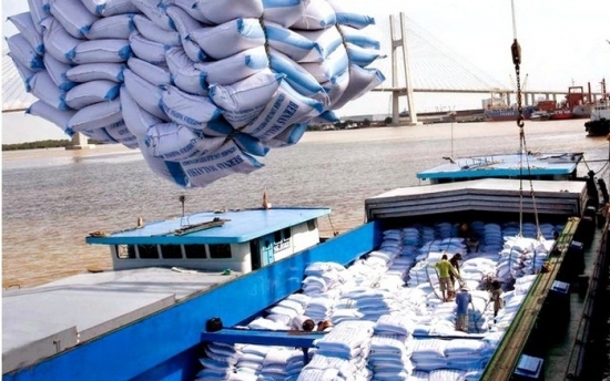 Lượng gạo dồi dào, Ấn Độ khẳng định không có kế hoạch hạn chế xuất khẩu