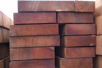 Đấu giá 27,212 m3 gỗ xẻ hộp và gỗ tròn các loại tại tỉnh Khánh Hòa