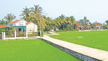 Đấu giá quyền sử dụng đất tại huyện Tây Hòa, tỉnh Phú Yên