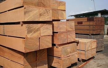 Đấu giá 10,050 m3 gỗ xẻ hộp các loại tại tỉnh Khánh Hòa