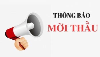 Điểm tin mời thầu ngày 8/7/2019