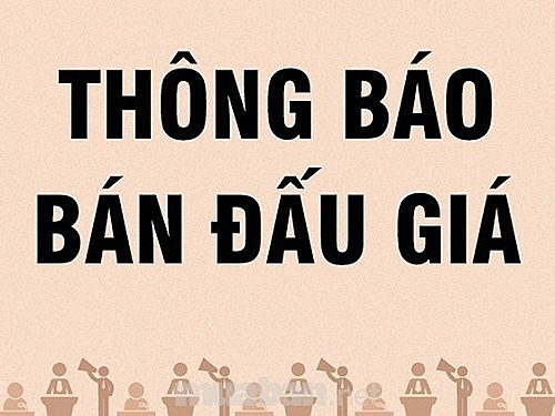 dau gia co phan cua ctcp tham dinh gia va dich vu tai chinh da nang