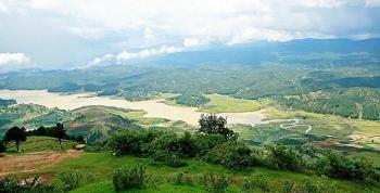 Đấu giá quyền sử dụng đất và tài sản trên đất tại huyện Lắk, tỉnh Đắk Lắk