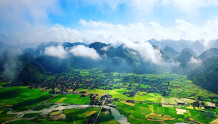 dau gia quyen su dung dat va tai san gan lien tren dat tai huyen ky son tinh hoa binh