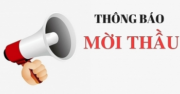 Điểm tin mời thầu ngày 16/7/2019