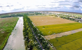 Đấu giá quyền sử dụng đất, quyền sở hữu nhà tại huyện Đức Hòa, tỉnh Long An và Quận 6, TP.HCM