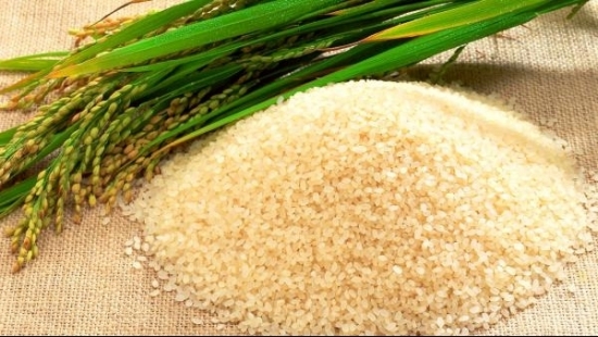 Cập nhật giá gạo chiều ngày 14/7: Gạo xuất khẩu tăng mạnh