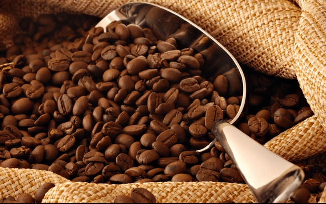 Giá cà phê hôm nay 29/7: Giảm 200 đồng/kg